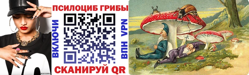 Галлюциногенные грибы MAGIC MUSHROOMS  Мураши 