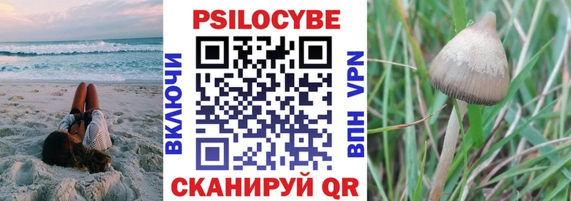 Галлюциногенные грибы Cubensis Мураши